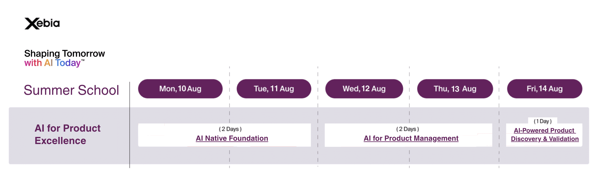 Data Summer School: Upskilling in Data and AI