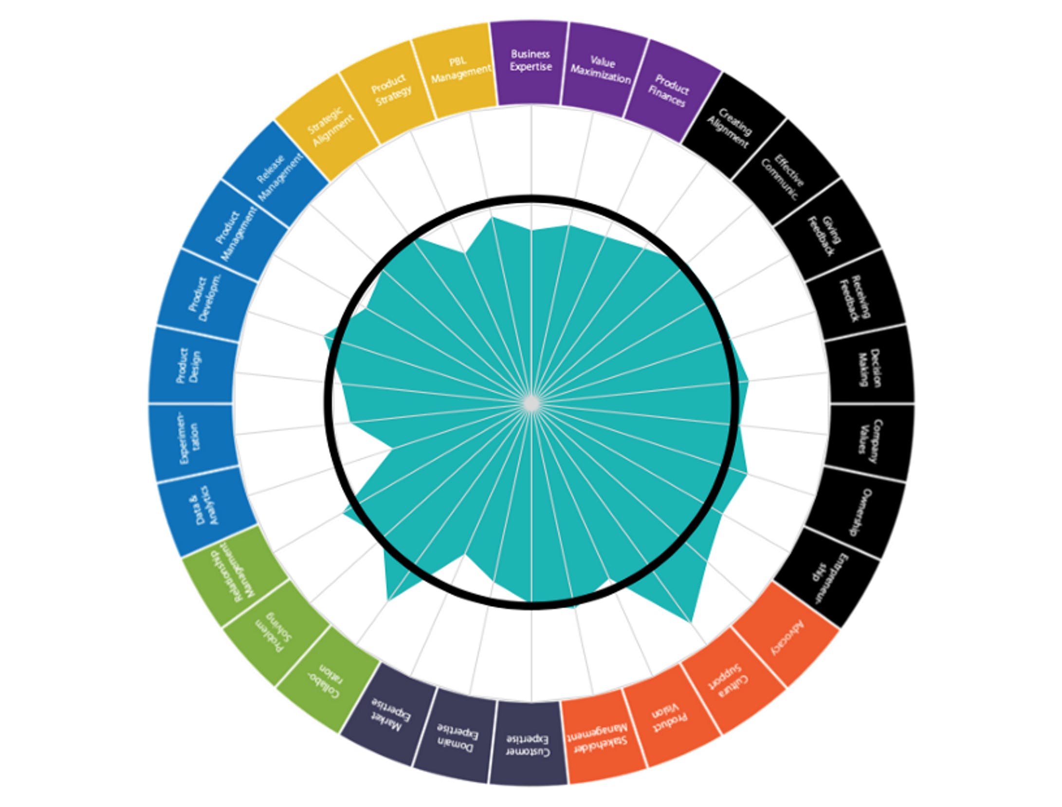 Figure 2. Professional Product Management Competency Framework assessment.